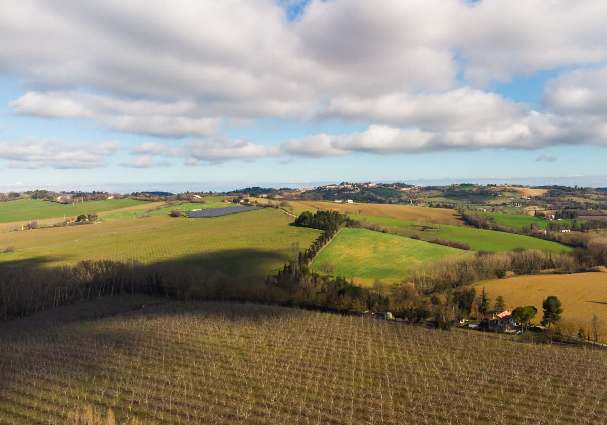 MCS Mobili ecosostenibilità